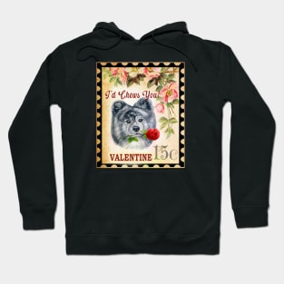 Akita brindle Vintage Valentine Funny Dog With Rose Hoodie